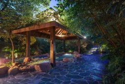 溫泉市場動態(tài) 溫泉綜合體設(shè)計類型、產(chǎn)品創(chuàng)新及發(fā)展方向